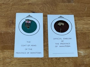 Collectible Pins