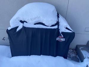 lot 402 image: Vermont Castings Signature Series Gas Grill