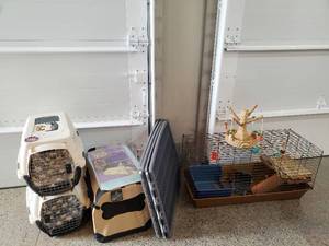 lot 86 image: Cat Kennels