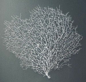 lot 18 image: 3D Coral Framed Art