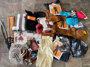 Lot of Various Adult and Childrens Halloween Costumes and Accessories