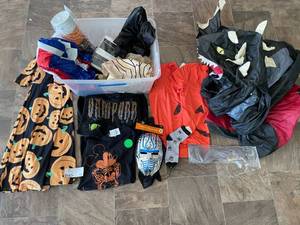 Lot of Various Halloween Costumes and Accessories