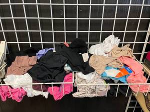 Lot of Various Sized Womens Undergarments