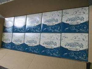 lot 6 image: case of angel soft ultra profession...