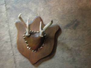 lot 397 image: Pair of 4 Point mounted antlers