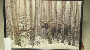 lot 8 image: Moose picture measures 37x25...