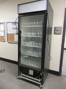 lot 167 image: QBD SINGLE DOOR BEVERAGE COOLER