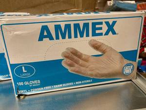 Vinyl Gloves