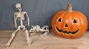 lot 300 image: Halloween Decor  Lighted Pumpkin, Skeleton, Dino Skulls  T