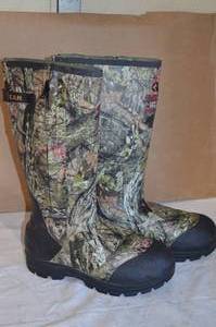 Sportsman 306 Boot and Shoe