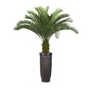lot 11 image: VINTAGE HOME 69 in. Artificial Tall Cycas Palm Tree in Planter