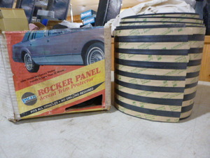 Pacer Rocker Panel Accent Trim Protector