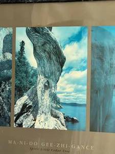 lot 75 image: Spirit Little Cedar Tree Framed Photo Print by Craig Blacklock