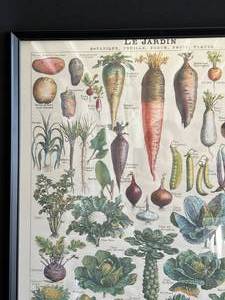 lot 66 image: Vintage Le Jardin Vegetable Poster in Black Frame