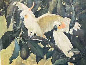lot 155 image: White Cockatoos in Avocado Tree by Jessie Arms Botke Signed by Artist