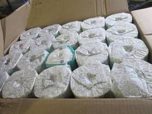 lot 192 image: case of angel soft 2-ply toilet pap...