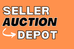 AUCTION DETAILS READ FIRST