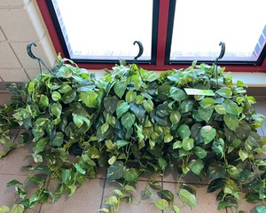 lot 2612 image: Faux Plant Baskets