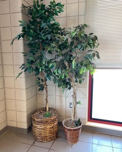 lot 2610 image: Faux Trees