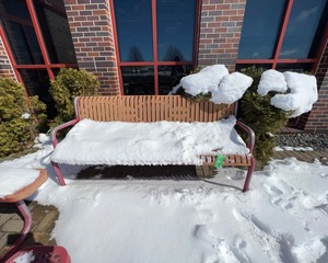 lot 1834 image: Outdoor Bench