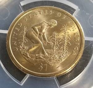 2009-P US NATIVE AMERICAN DOLLAR MS64 ANACS