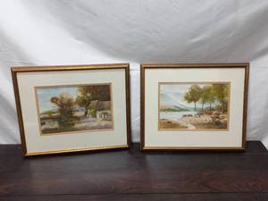 Framed Watercolors