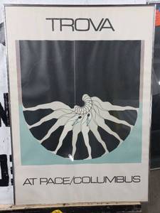 Framed Trova Print