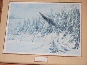 lot 69 image: Bustin Out- Ringneck singed Gary W. Moss number 81650