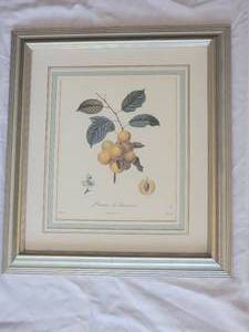 lot 84 image: Botanical Print Pair Pare & Prune