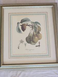 lot 87 image: Biotanical Print Orange Rouge & Frangipane