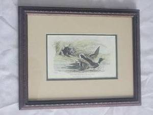 lot 102 image: Waterdog & Mallard Print