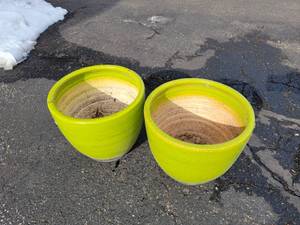 lot 48 image: 11 Electric Green Planters