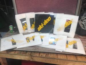 lot 197 image: 11 Skidoo Mirror Panels