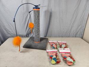 Cat Toys and Scratcher