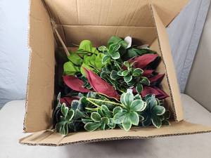 New Case of Greenery Pieces