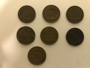lot 113 image: 7 - Indian Head Pennies