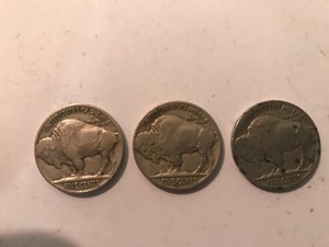 lot 307 image: 3 - Buffalo head nickels with visible dates