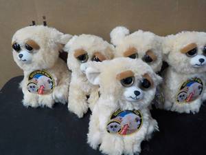 lot 7 image: 5 Feisty Pets- squeeze the back of ...