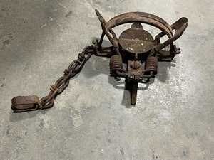 Double Spring Jump Trap