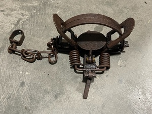 Double Spring Jump Trap