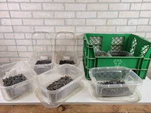 lot 717 image: (7) Bins of Assorted Nails - Finish Nails, Galvanized and More - These are shoebox size containers - NO SHIPING