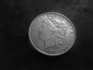 1891 Morgan Silver Dollar