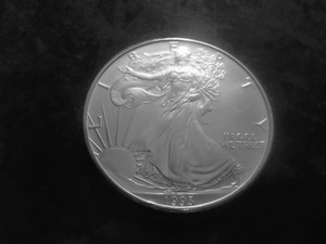 1993 American Silver Eagle 1 Oz. 99.9 Fine Silver MS From Unc. Roll