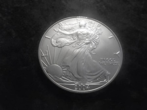 2004 American Silver Eagle 1 Oz. 99.9 Fine Silver MS From Unc. Roll