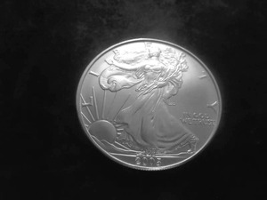 2005 American Silver Eagle 1 Oz. 99.9 Fine Silver MS From Unc. Roll