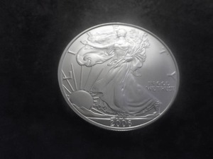 2006 American Silver Eagle 1 Oz. 99.9 Fine Silver MS From Unc. Roll