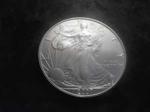 2007 American Silver Eagle 1 Oz. 99.9 Fine Silver MS From Unc. Roll