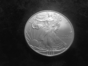 2008 American Silver Eagle 1 Oz. 99.9 Fine Silver MS From Unc. Roll