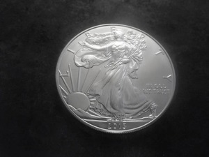 2013 American Silver Eagle 1 Oz. 99.9 Fine Silver MS From Unc. Roll