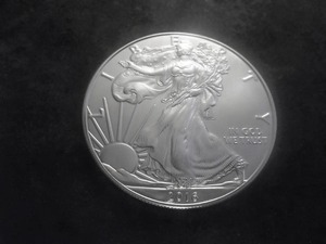2016 American Silver Eagle 1 Oz. 99.9 Fine Silver MS From Unc. Roll